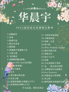 华晨宇歌曲大全100首-风格多样 歌曲深入人心