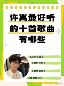 许嵩最火的十首-独特风格与深刻歌词的十首经典歌曲
