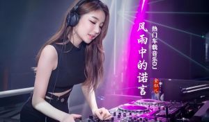 车载cd歌手-CD机还在用！实体CD听歌有独特魅力，车载音质好，无损音乐和经典碟片受追捧