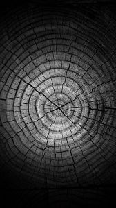 年轮免费版-警惕《年轮》盗版风险，正版安全高清！