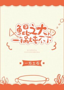 1锅炖不下小说-小说内容多太杂，像一锅炖不下