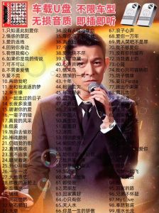 刘德华歌曲100首全部-刘德华的歌太好听了！