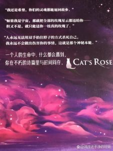 一十四洲猫咪的玫瑰-《猫咪的玫瑰》免费看，镇魂小说txt下载