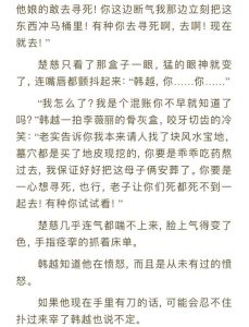 提灯看刺刀小说番外全-淮上补全故事，主角互动超精彩