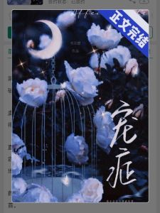 宠症txt下载-免费TXT小说，网文爱好者福音！