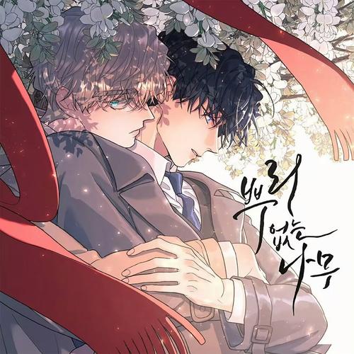 无根之树广播剧免费听-免费广播剧!韩漫风《无根之树》手机听_广播剧资源 - 小白资源网