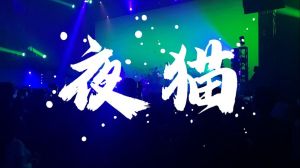 夜猫广播剧社团-手机听广播剧，免费资源多