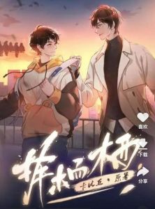 择木而栖广播剧-《择木而栖》漫画推荐，广播剧免费资源搜寻指南