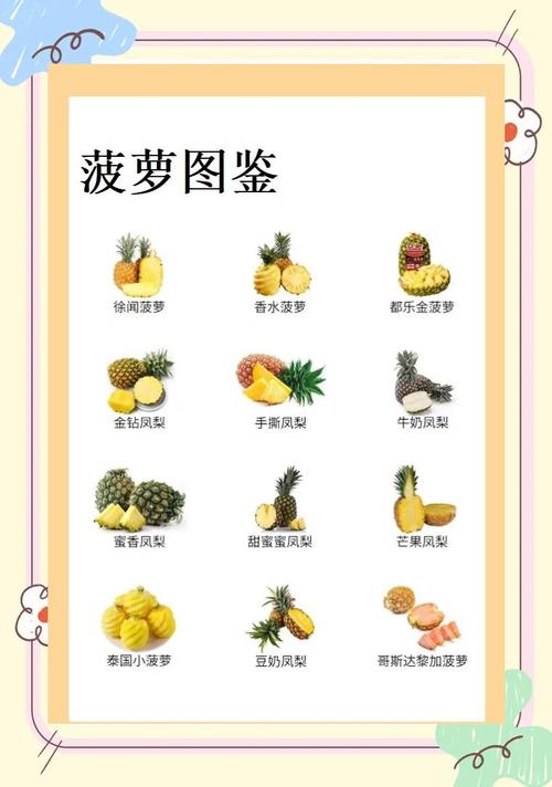 在线菠萝视频:平台功能介绍与使用体验全面评测 在线菠萝视频:平台功能介绍与使用体验全面评测