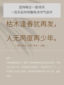 李沁陈哲远《枯木逢春》好看短剧