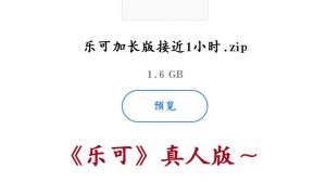 乐可音乐播放器,个性体验,安全便捷