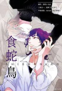 食蛇鸟 广播剧_爱恨交织的广播剧