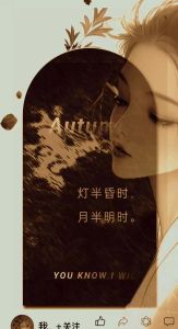 《月半温柔》及同系列作品推荐