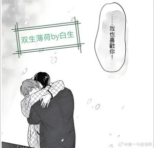 白生小说《双生薄荷》，免费阅读及讨论