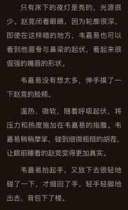 南方海啸，笔趣阁免费阅读，全文无删节，TXT下载