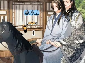 妻为上羊仔广播剧网盘_百变声线，古风甜宠权谋搞笑，听你想听的！