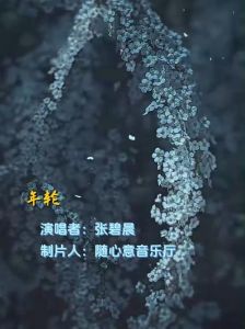 年轮mp3在线下载_DJ高品质音乐下载，听感更佳，试听压缩音质，下载享受192Kbps至320Kbps高保真