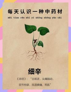 细辛和辛夷有毒吗_细辛有毒需慎用，辛夷花更安全治鼻炎