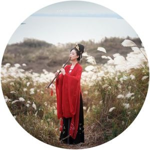 锦瑟流年广播剧_广播剧《锦瑟池鱼》《长安归故里》，用声音讲故事，触动心灵深处
