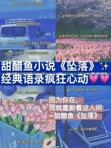 小说坠落_家族与爱情的抉择