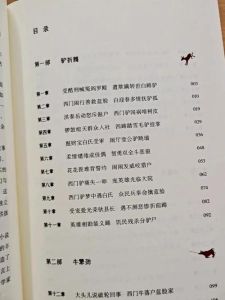 第三版主小强小说目录_奇幻悬疑爱情多，丰富体验等你来！