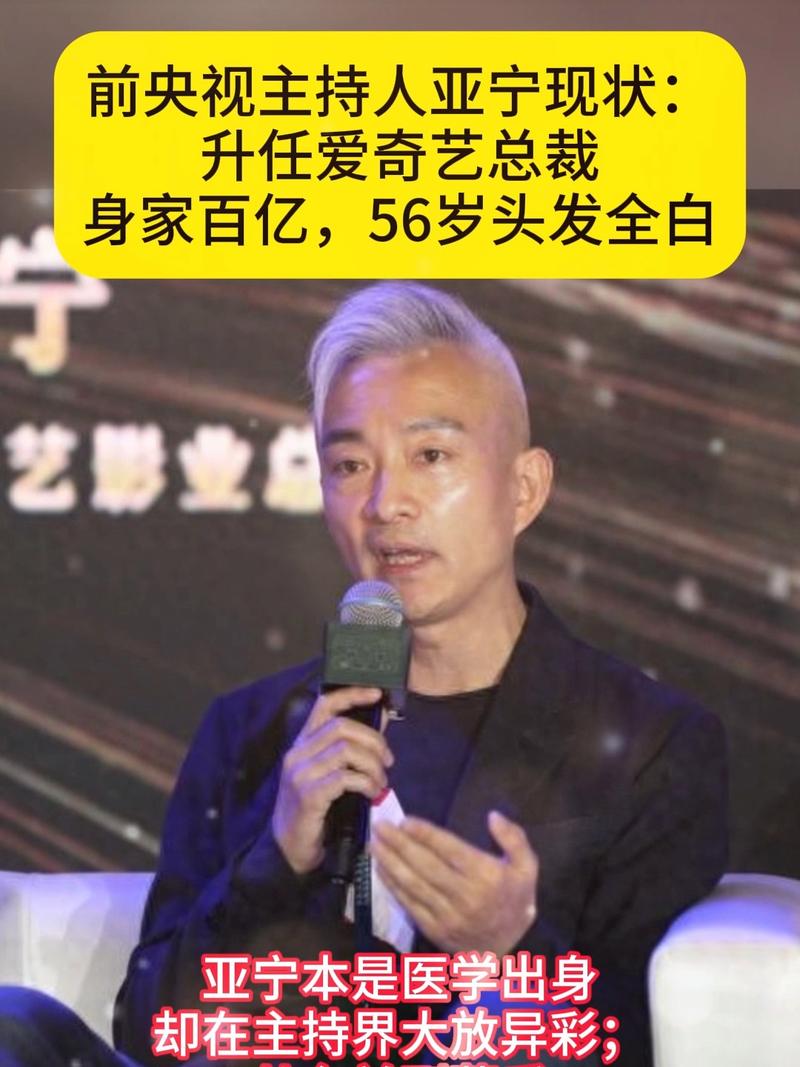 前央视最帅主持人亚宁现身,风采依旧儒雅!_影音快讯 - 小白资源网