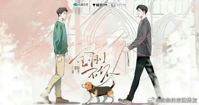 金弦所有广播剧作品_配音苏尚卿,歌声动人心弦_广播剧资源 - 小白资源网