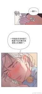 奇妙玩具来袭(完结)无删减_异瞳黑猫坐骑上线！绯夜华章时装10.20上线，荒野联动蛋仔，金陵奇妙会回归！