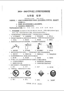 初三化学试卷电子版_化学式书写注意顺序，离子电荷要正确，燃烧灭火原理懂，实验操作要规范，化学计算重理解，错题整理助进步
