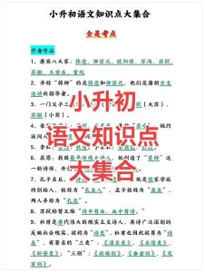 小升初语文知识点归纳整理_字词阅读写作技巧全攻略