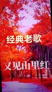 红色经典纯音乐免费_穿越时空的旋律，触动心灵深处