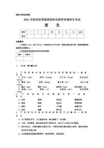 高职高考语文历年真题_基础+技巧+资料助你提分