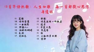 感叹人生歌曲大全100首_歌曲是时光记忆，是心灵良药，越听越有味道