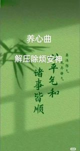 道家养心音乐50首_舒缓压力，寻找心灵宁静