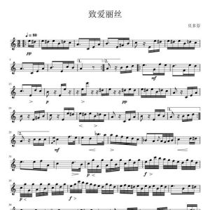 优美的小提琴曲纯音乐_管弦乐核心，石川绫子演绎巴赫经典，古今交融的魅力乐器