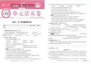 王朝霞试卷六年级下册_王朝霞试卷覆盖多版本，期末精选助复习，电子纸版可选，教辅热门