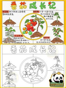 科学第1课番茄知识点_营养健康，家庭种植指南