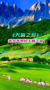 世界天籁之音的歌曲_天籁之音，触动心灵，带来宁静与感动经典歌曲，唤起美好回忆，情感共鸣