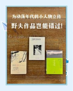 野史征原有声小说_黑虎帮败 韦康陷害 林砚反击身世谜