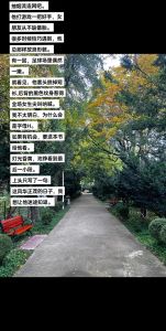 他笑时风华正茂广播剧_青春懵懂与成长故事