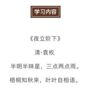 韶光慢有声小说免费听_免费听小说，享受片刻宁静
