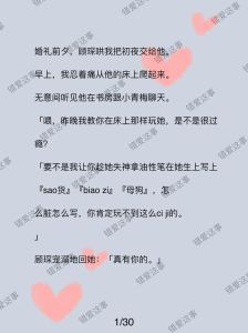 喜欢她的都是偏执狂1v3小说_小说中极致情感的两面