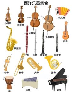 欧洲主要音乐流派有哪些_古典到现代，感受多元魅力