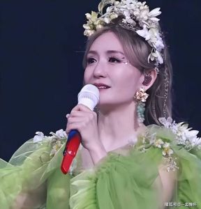 谢娜演唱会遭投诉取消，票价高舞台差引争议